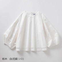 栃木　白（花綱　シロ）