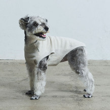 【WEB限定】LOCAL FABRIC ドッグスウェットシャツ