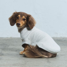 【WEB限定】LOCAL FABRIC ドッグスウェットシャツ