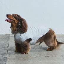 【WEB限定】LOCAL FABRIC ドッグスウェットシャツ