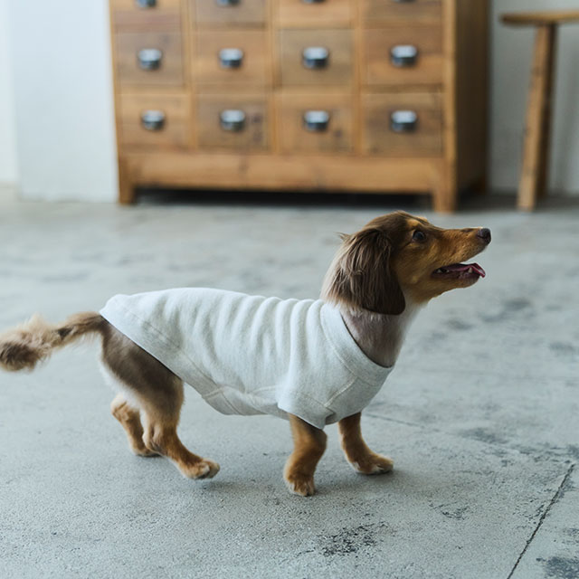 【WEB限定】LOCAL FABRIC ドッグスウェットシャツ