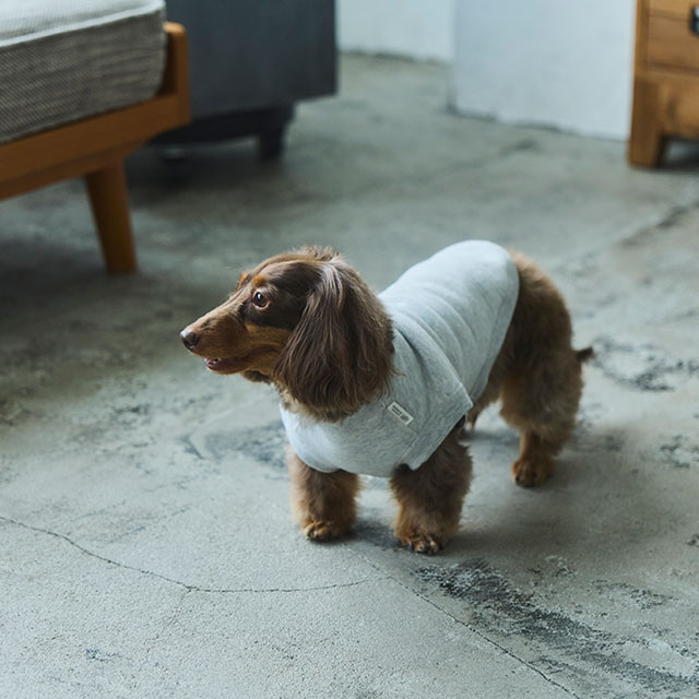 【WEB限定】LOCAL FABRIC ドッグスウェットシャツ
