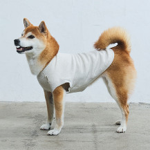 【WEB限定】LOCAL FABRIC ドッグスウェットシャツ