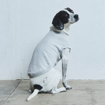 【WEB限定】LOCAL FABRIC ドッグスウェットシャツ