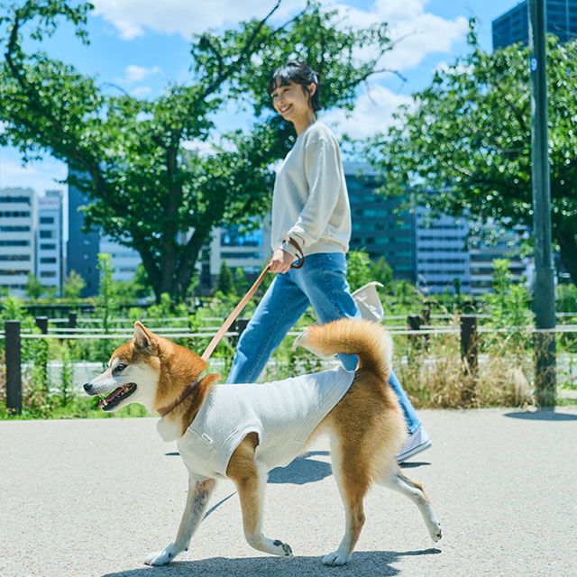 【WEB限定】LOCAL FABRIC ドッグスウェットシャツ