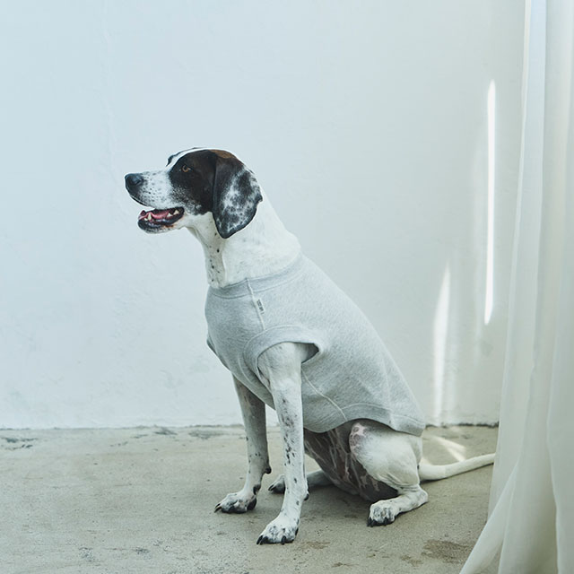 【WEB限定】LOCAL FABRIC ドッグスウェットシャツ