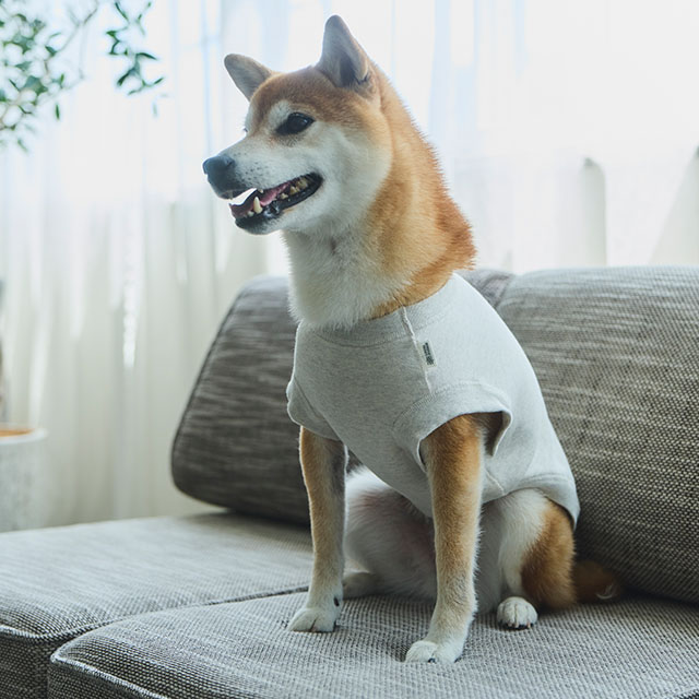 【WEB限定】LOCAL FABRIC ドッグスウェットシャツ