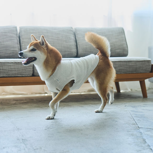 【WEB限定】LOCAL FABRIC ドッグスウェットシャツ