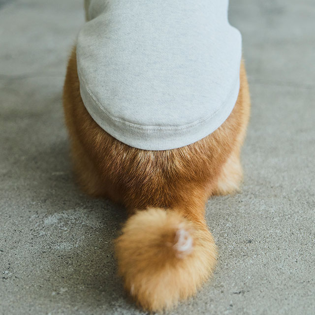 【WEB限定】LOCAL FABRIC ドッグスウェットシャツ