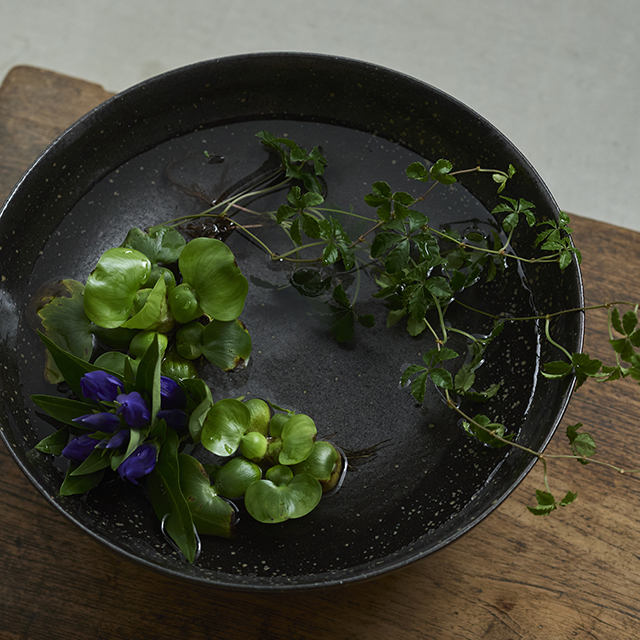 【WEB限定】明山窯　HIJICA　Decoration bowl