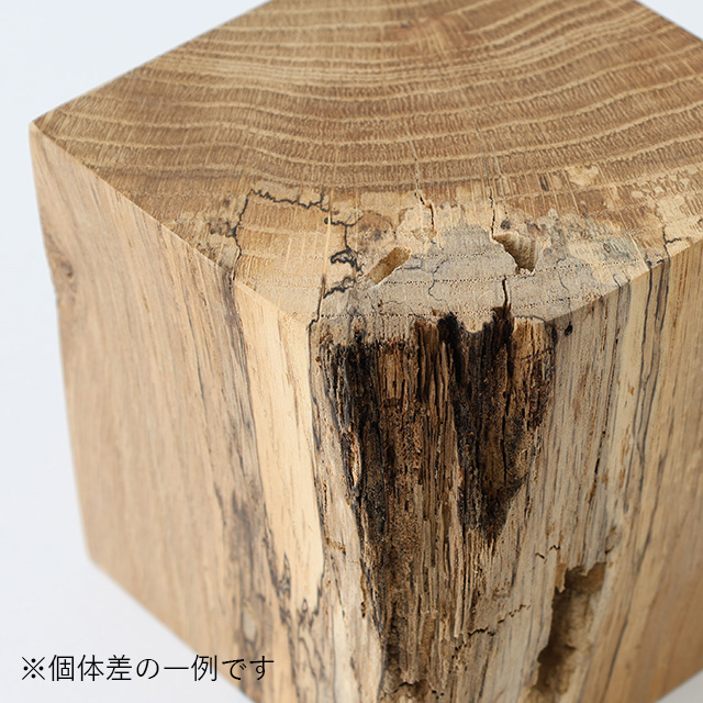 RetRe　虫喰いのブックエンド　S