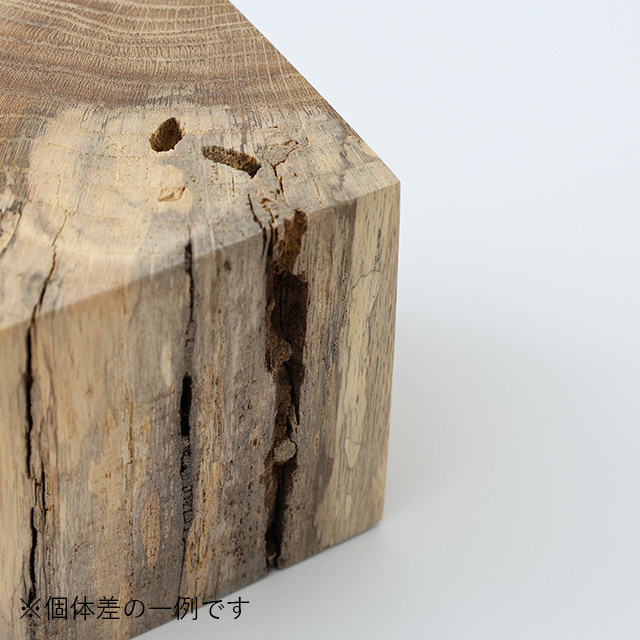 RetRe　虫喰いのブックエンド　S