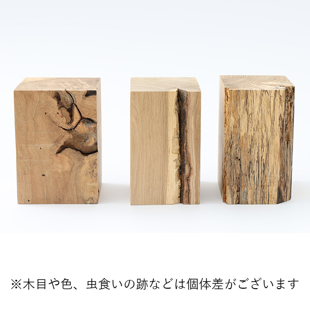 RetRe　虫喰いのブックエンド　L