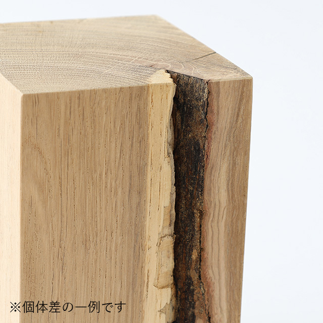 RetRe　虫喰いのブックエンド　L