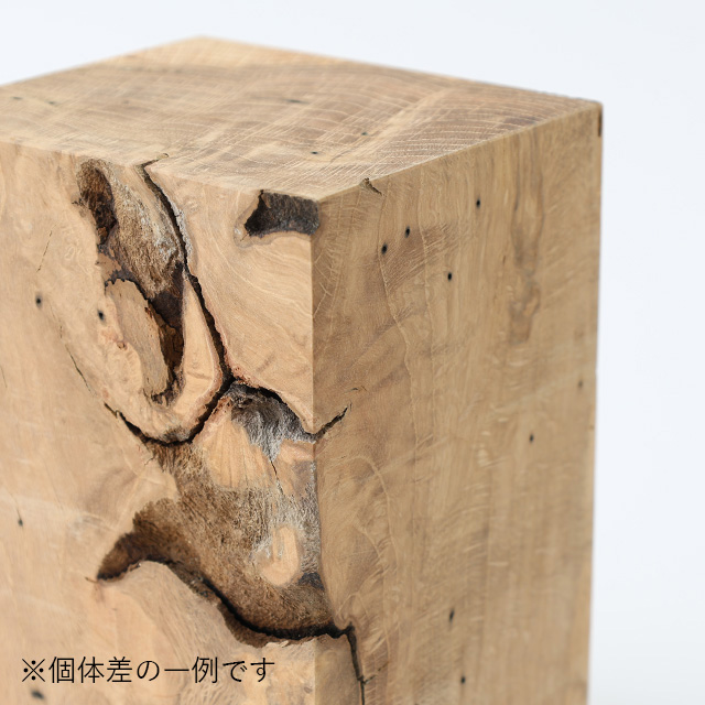 RetRe　虫喰いのブックエンド　L