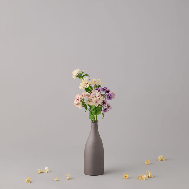 TOBE　bin 赤砥OF S