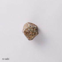 【WEB限定】AJIPROJECT HOOK