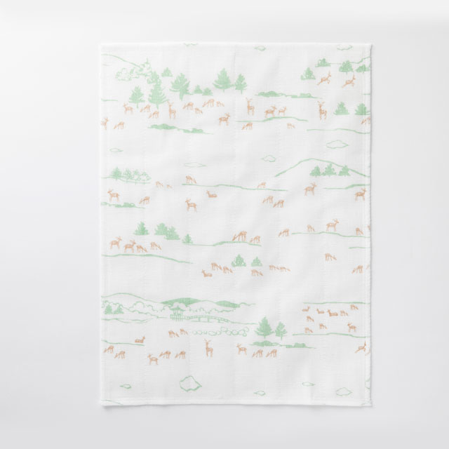 奈良ふきん 飛火野