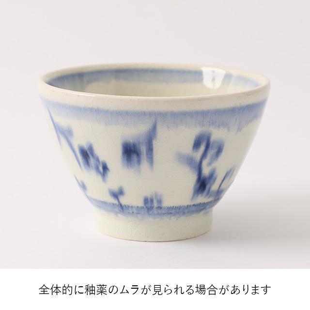 【みなおし品 てなおし品】好日茶碗 安南唐草