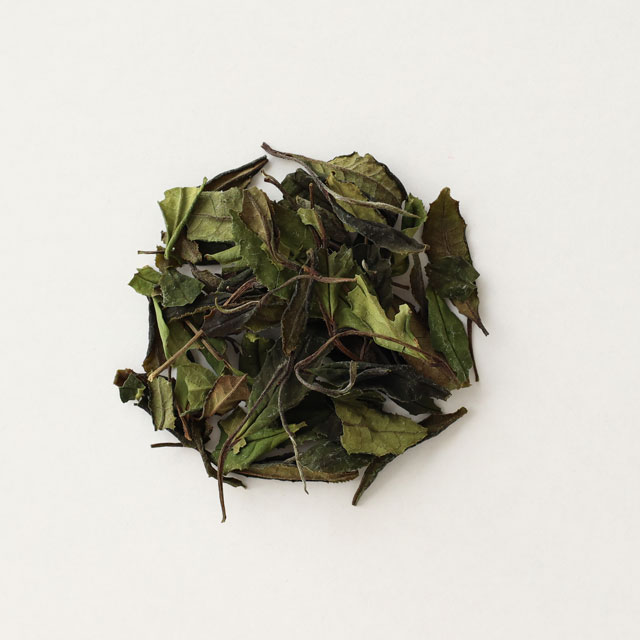 茶ノ吉　越冬番茶