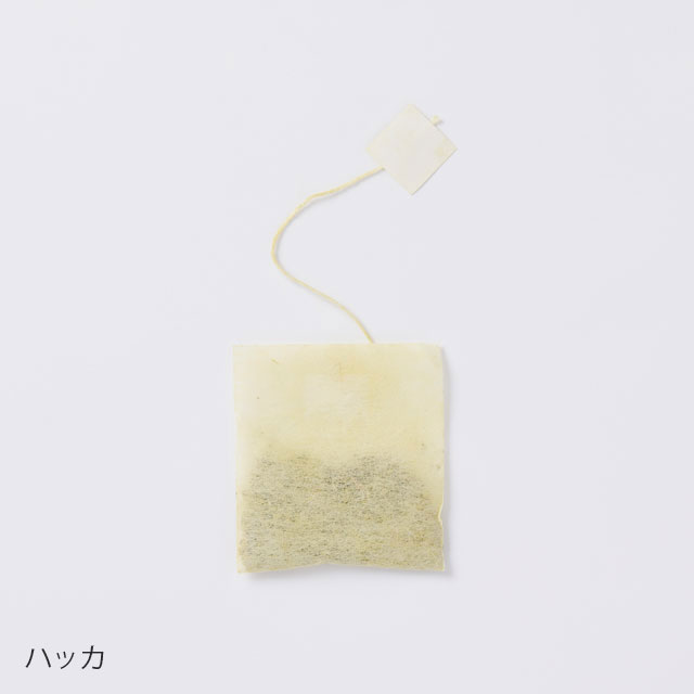 炭酸水でつくるソーダ番茶