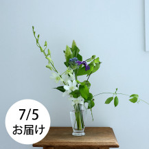 【予約商品】【WEB限定】【数量限定】LIFFTコラボレーション　夏の花と花入れ