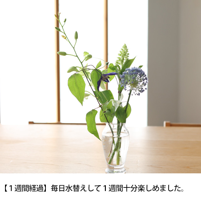 【予約商品】【WEB限定】【数量限定】LIFFTコラボレーション　夏の花と花入れ