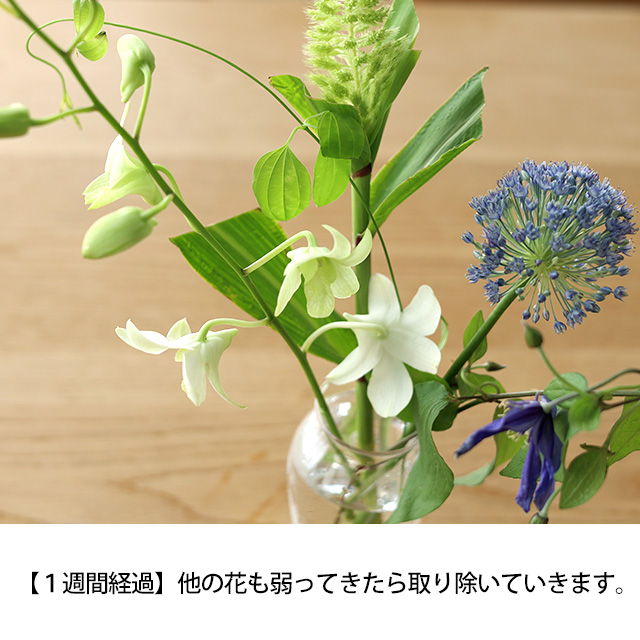 【予約商品】【WEB限定】【数量限定】LIFFTコラボレーション　夏の花と花入れ