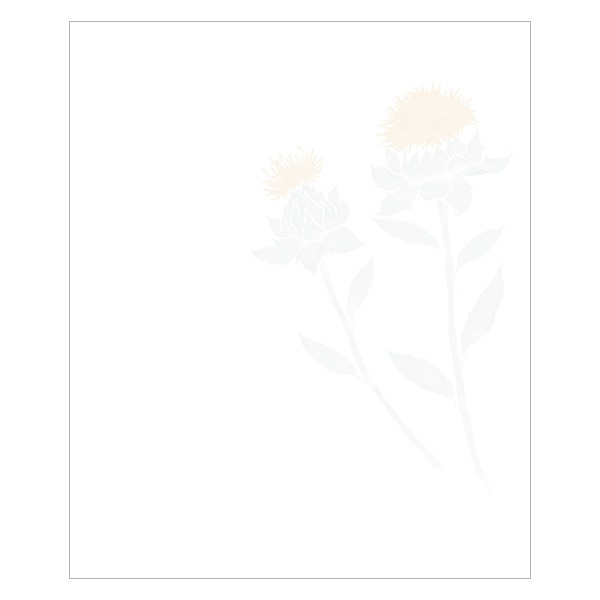 夏の懐紙　六種の花