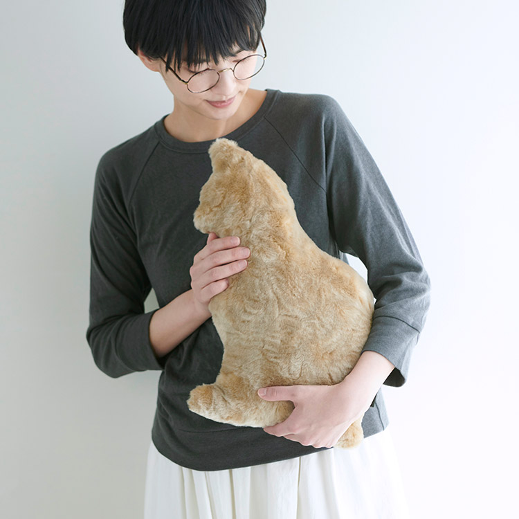 ふんわり綿のラグランカットソー
