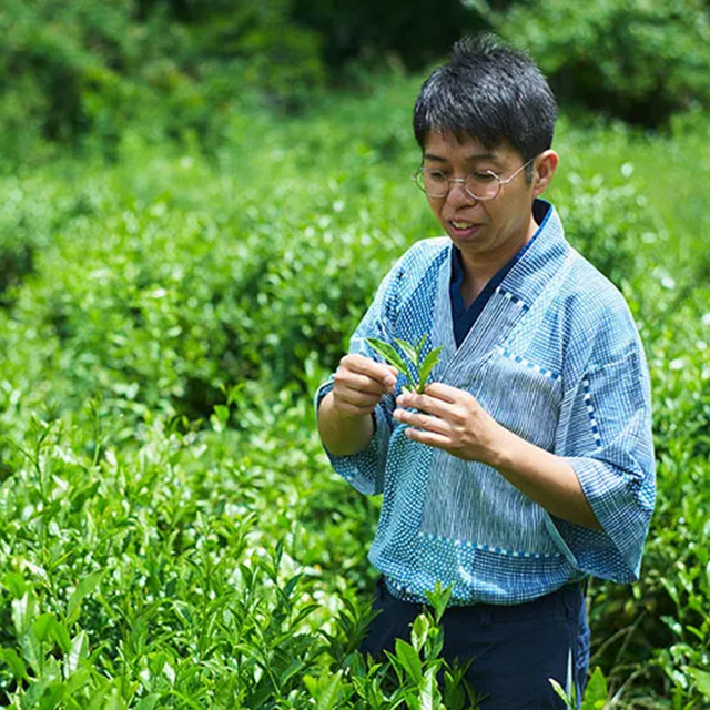 お茶がつなぐ、人と地域と自然。耕作を放棄された茶畑の復活プロジェクト