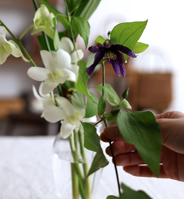 夏の花の贈りもの