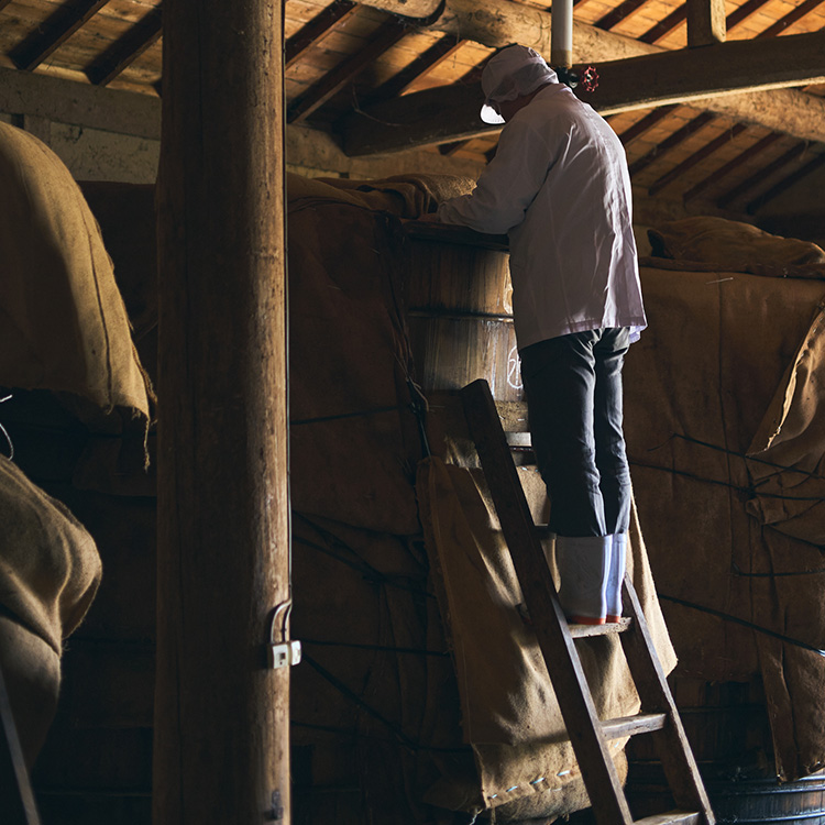 ビネガードリンク　saku