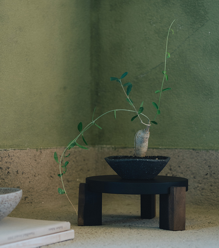 森の景色を想わせる、佇まいのよい小家具