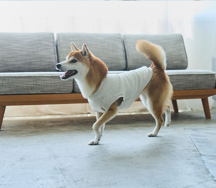 LOCAL FABRIC