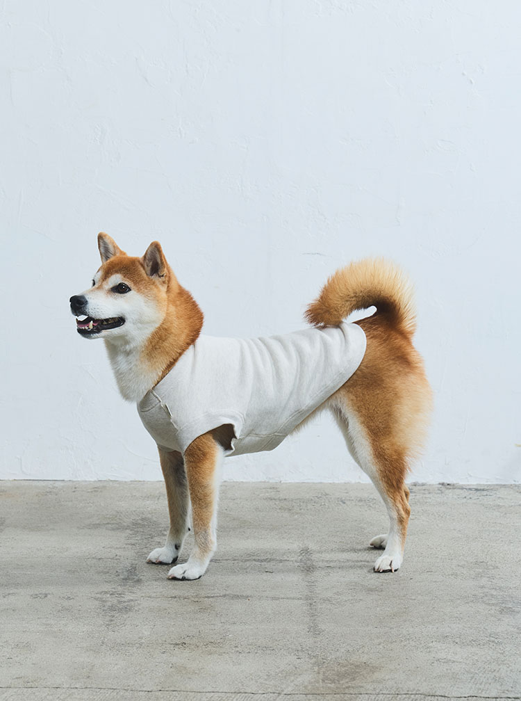 LOCAL FABRIC