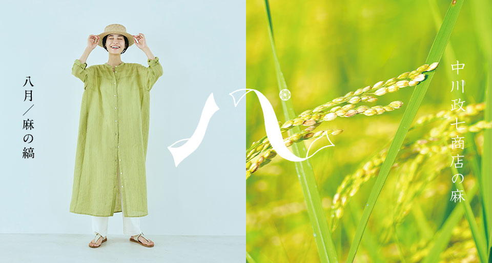 麻の縞