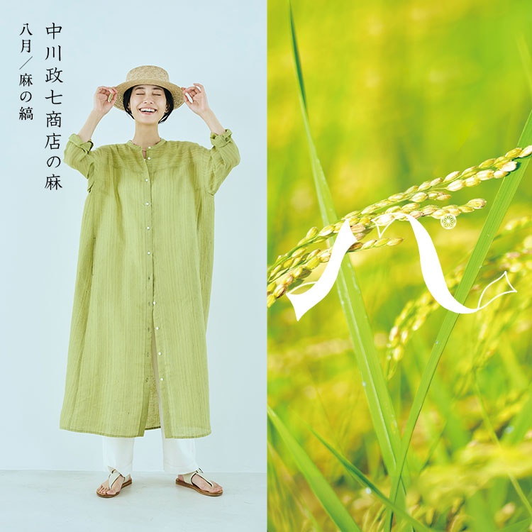 麻の縞
