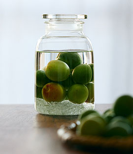 旬の手しごと梅酒・梅シロップ