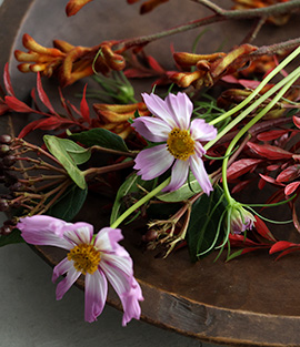 秋の花の贈りもの