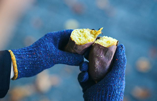 ずっと、もっと、使いたくなる「暮らしの軍手」