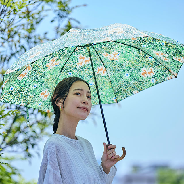 イイダ傘店別注 晴雨兼用傘