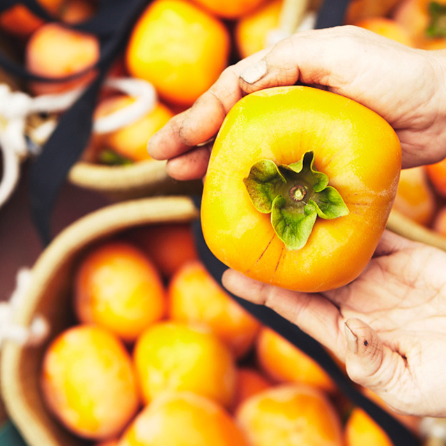 【予約商品・WEB限定・数量限定】百年柿 嘉来（かき）【送料込・ノベルティ対象外】