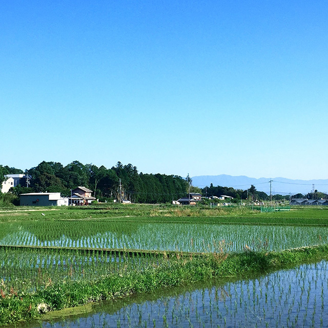【先行予約】羽釜鍋（IH対応）と「坂ノ途中」からお届け炊き込みご飯セット（10月中旬～下旬ごろ発送予定）