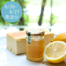 【予約商品・WEB限定・数量限定】奈良御菓子製造所 ocasi シルクチーズケーキ ハーフサイズ・ レモンジャム セット